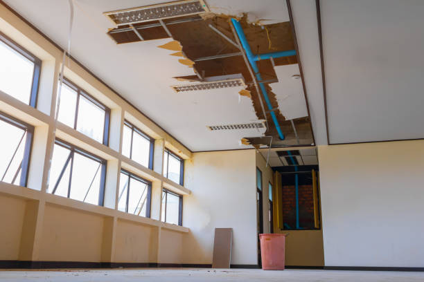 Best Basement Water Damage Restoration in , IA