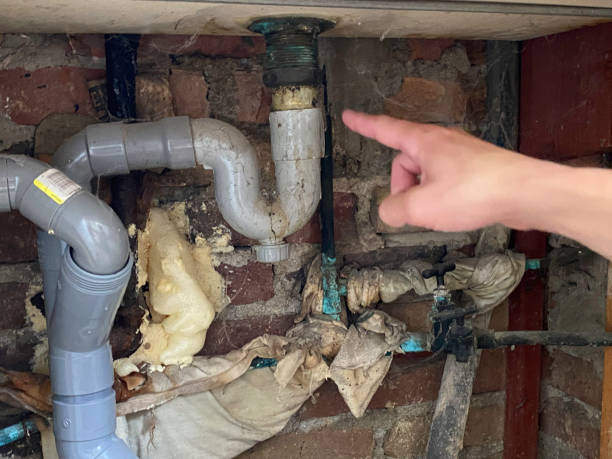 Best Odor Removal and Sanitization After Water Damage in , IA
